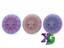 Envy Cosmic Electron Soft